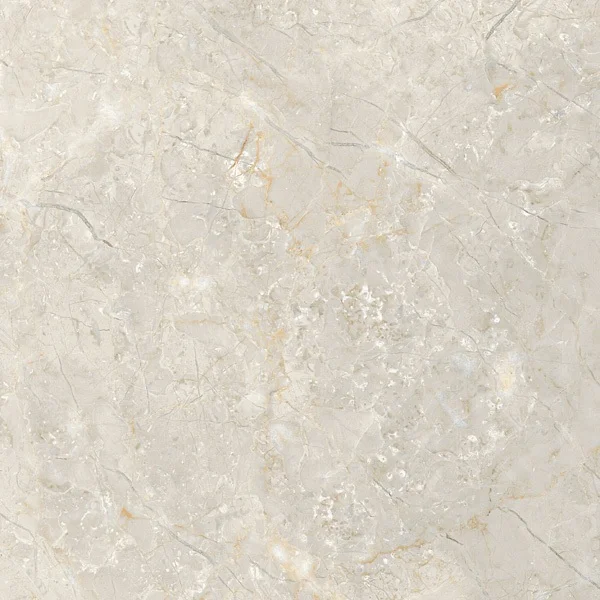 Polished Porcelain Tiles 600x600