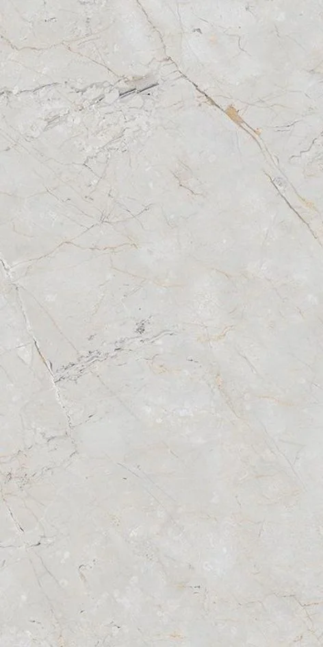 Porcelain Tiles 80x160