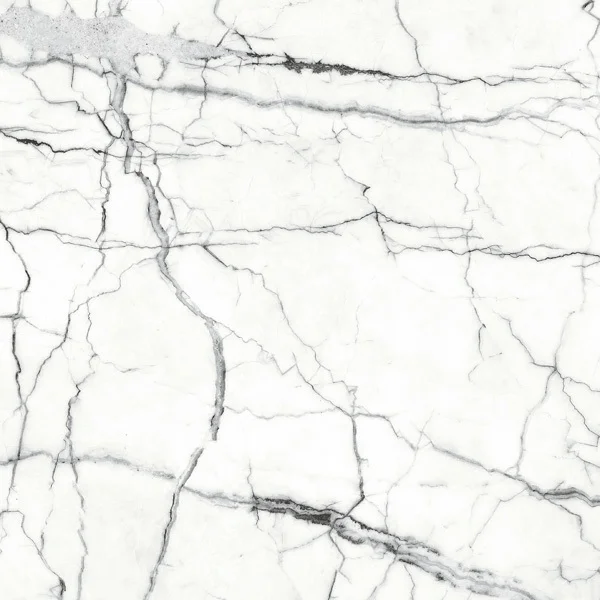 Polished Porcelain Tile