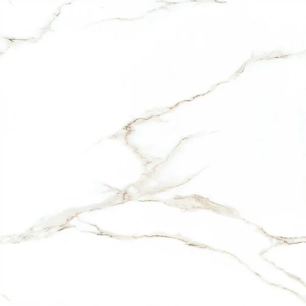 Polished Porcelain Tile